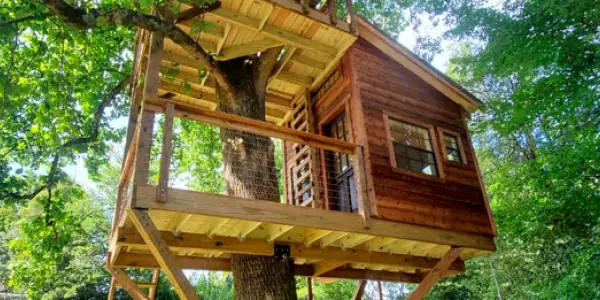 Pourquoi construire une cabane ?